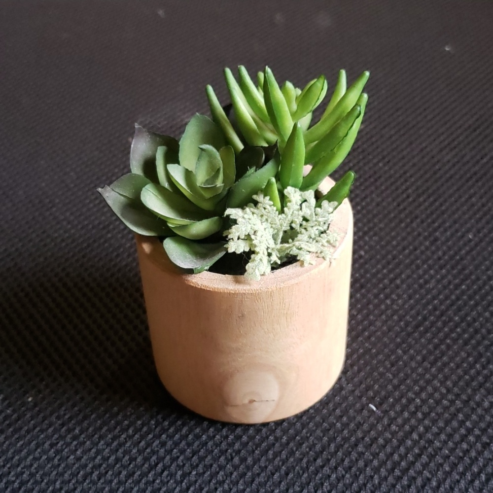 Faux succulent
